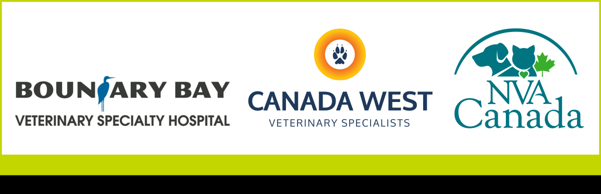 Boundary Bay veterinary specialty hospital, Canada West veterinary specialists, NVA Canada